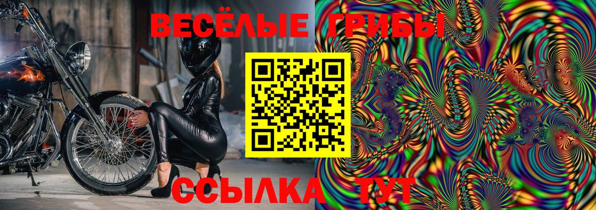 Псилоцибиновые грибы прущие грибы  Галлюциногенные грибы ЛСД  Кропоткин  Вход с VPN 