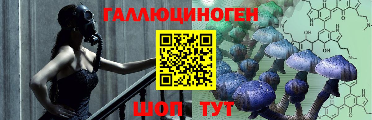 Псилоцибиновые грибы ЛСД Кропоткин